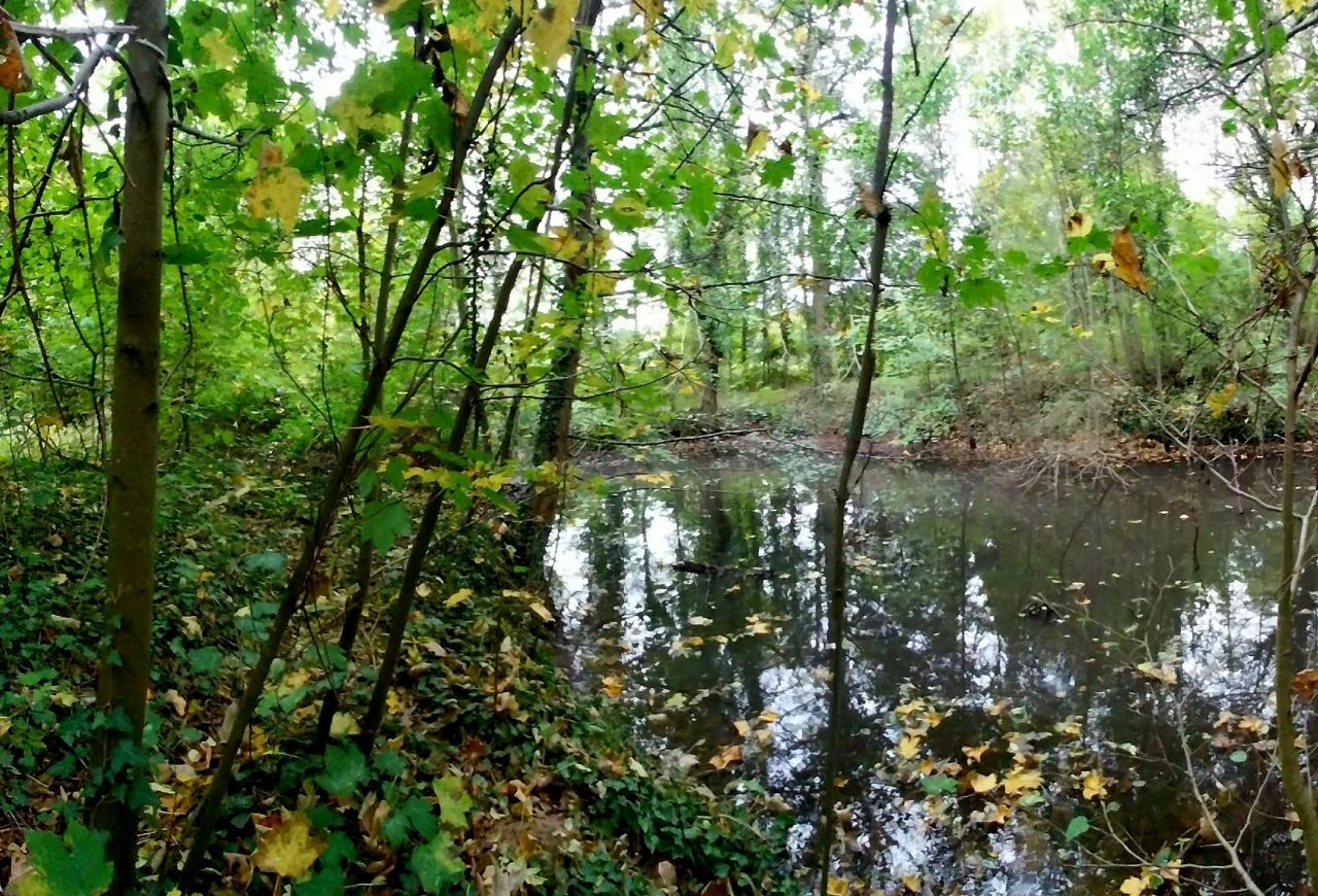 L'étang d'échanges des septeuillais : un tiers-lieu nature et intergénérationnel