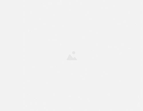 Atelier artistique inclusif