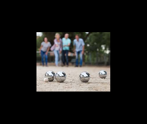 Tournoi de pétanque au profit de la Maison de Fontenay
