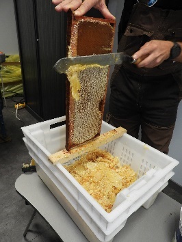 Une image contenant personne, Snack, intérieur, habits

Le contenu généré par l’IA peut être incorrect.